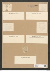 Diatomeae indet. Zeichnungen Sammlung Grunow Nr. 5825 (NHMW-BOT-W0374250)